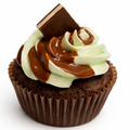 Andes Mint Cupcake