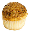 Creme Brulee